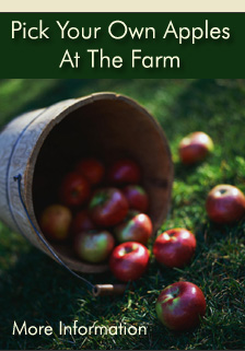 Pick Your Own Apples and Farmstand